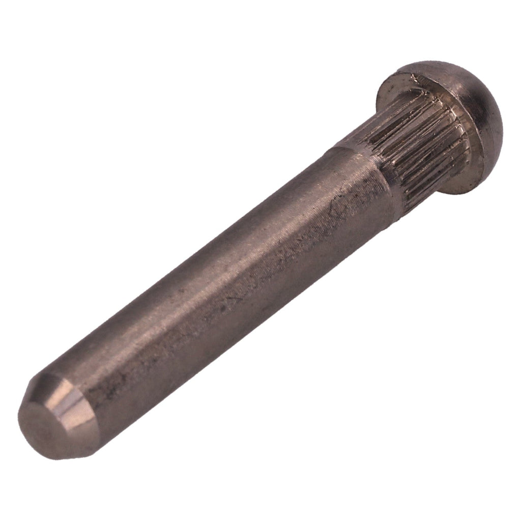 Deurscharnierpen 8.0mm (standaard) - RVS detail — T1