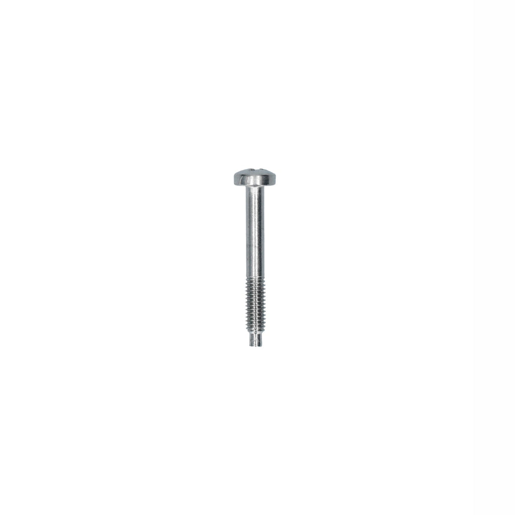 Vijs verlichting - M4 x 30 voor T2, Kever — VintageDub
