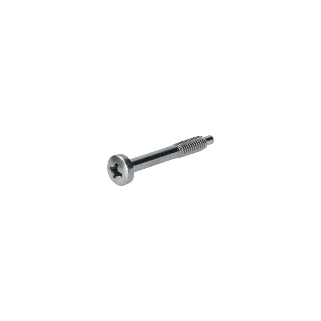 Vijs verlichting - M4 x 30 detail — T2, Kever